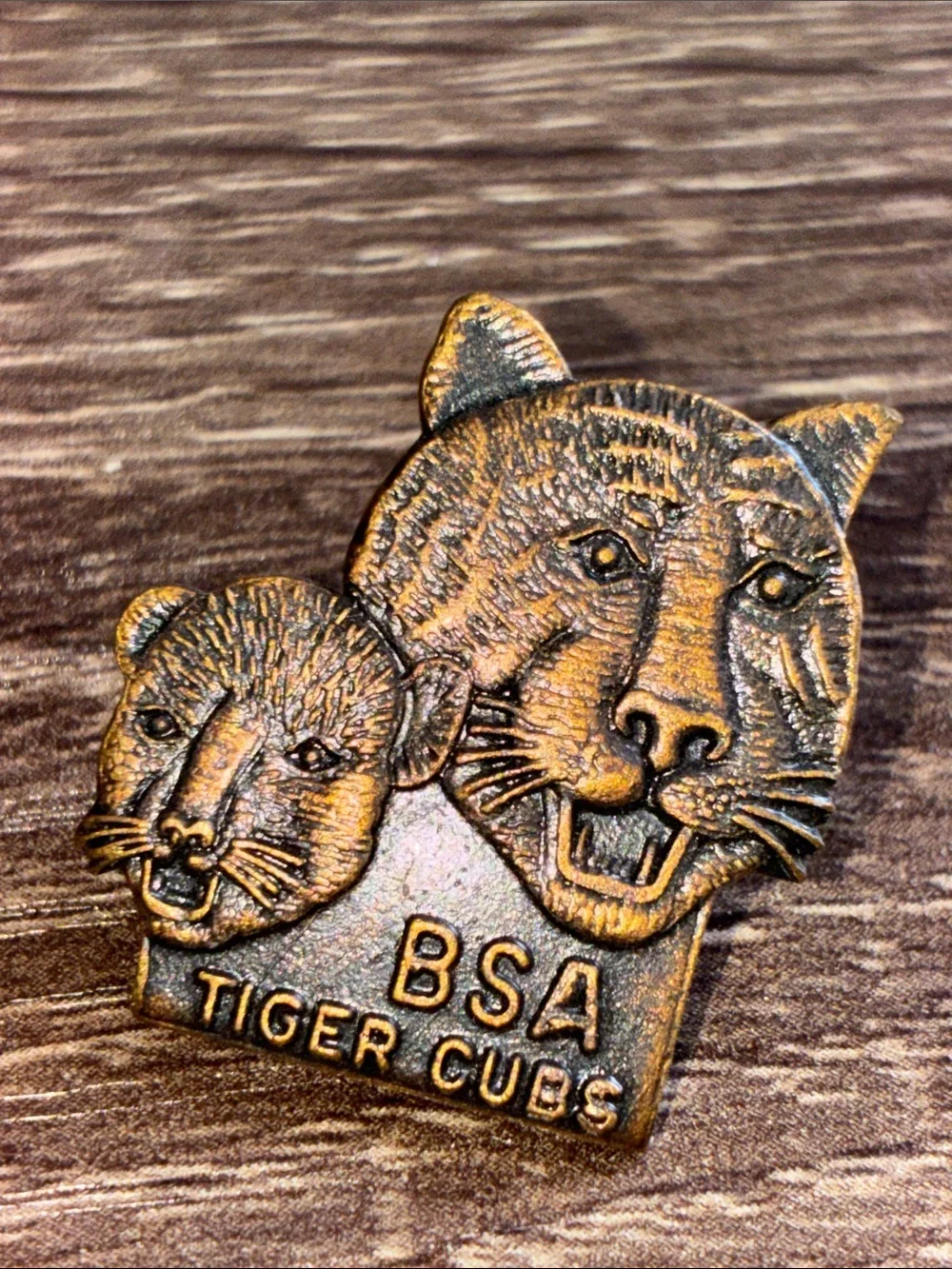 Vintage Bronze Tone Boy Scout Lot of 5 Lapel Pin Set